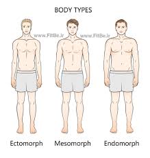 نحوه تشخیص تیپ بدنی چگونه است؟